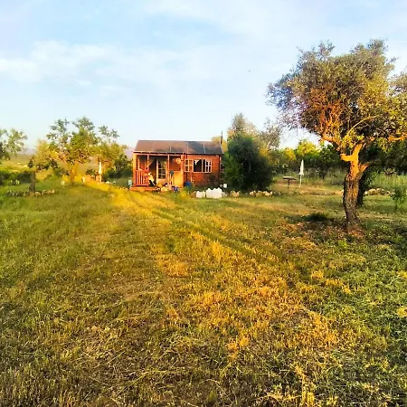 Cabaña