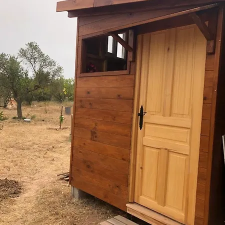 Cabana Campsite
